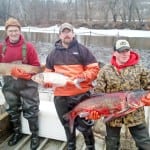 asiancarp