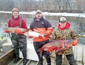 asiancarp